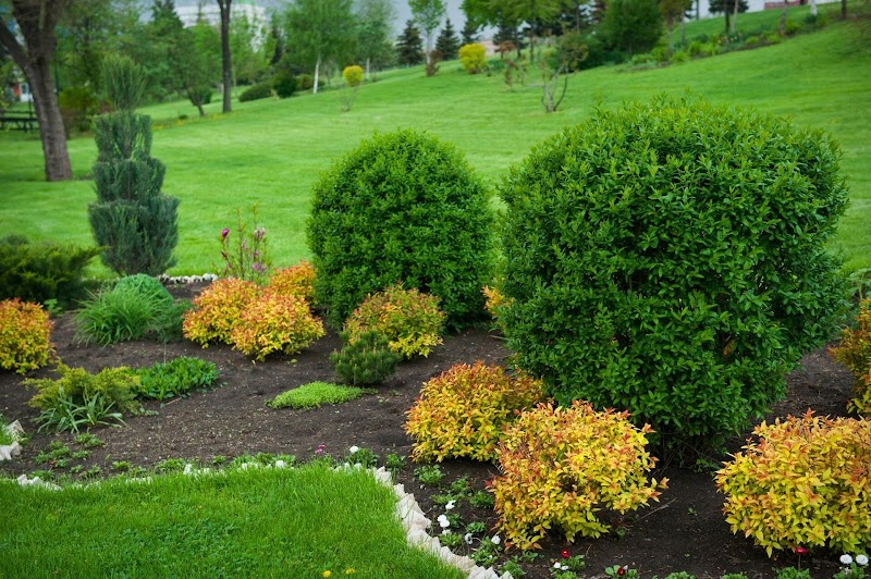 True Landscaping Experts Chilliwack