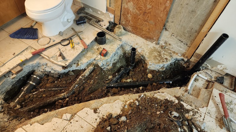 Lower Mainland Plumbing LTD