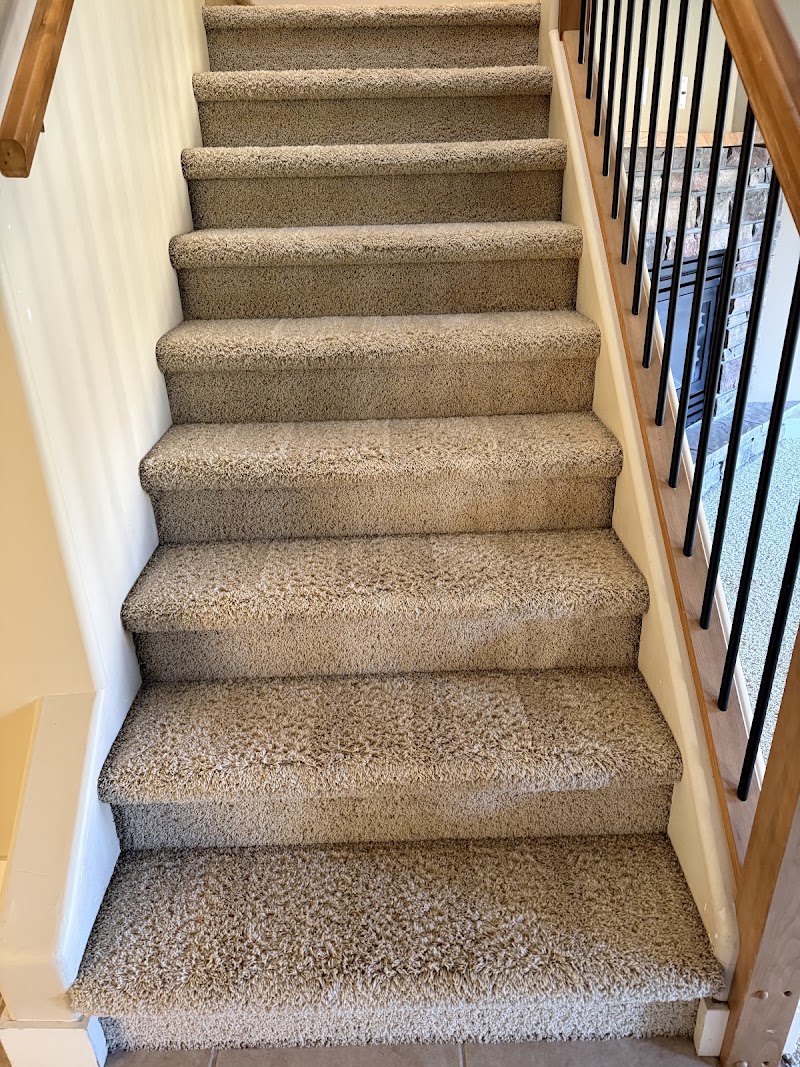 STEAM PRO CARPET & UPHOLSTERY CLEANING photo