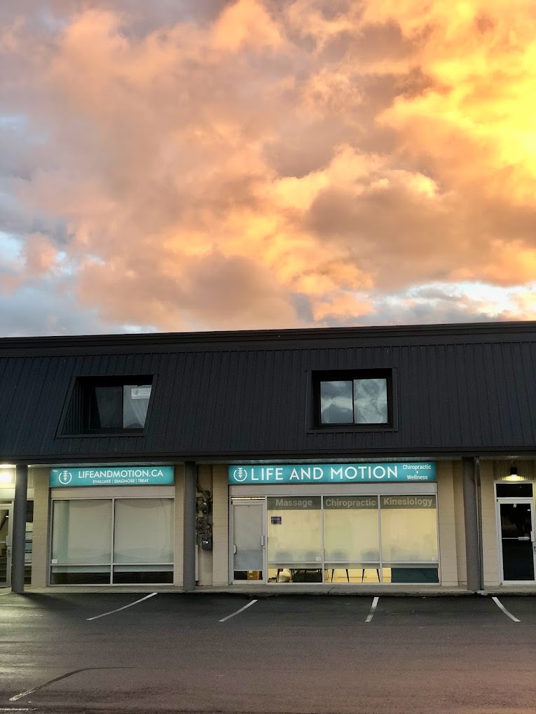 Life and Motion Chiropractic and Wellness