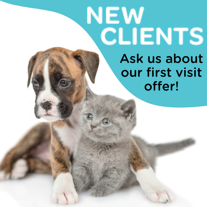 Valley Veterinary Services
