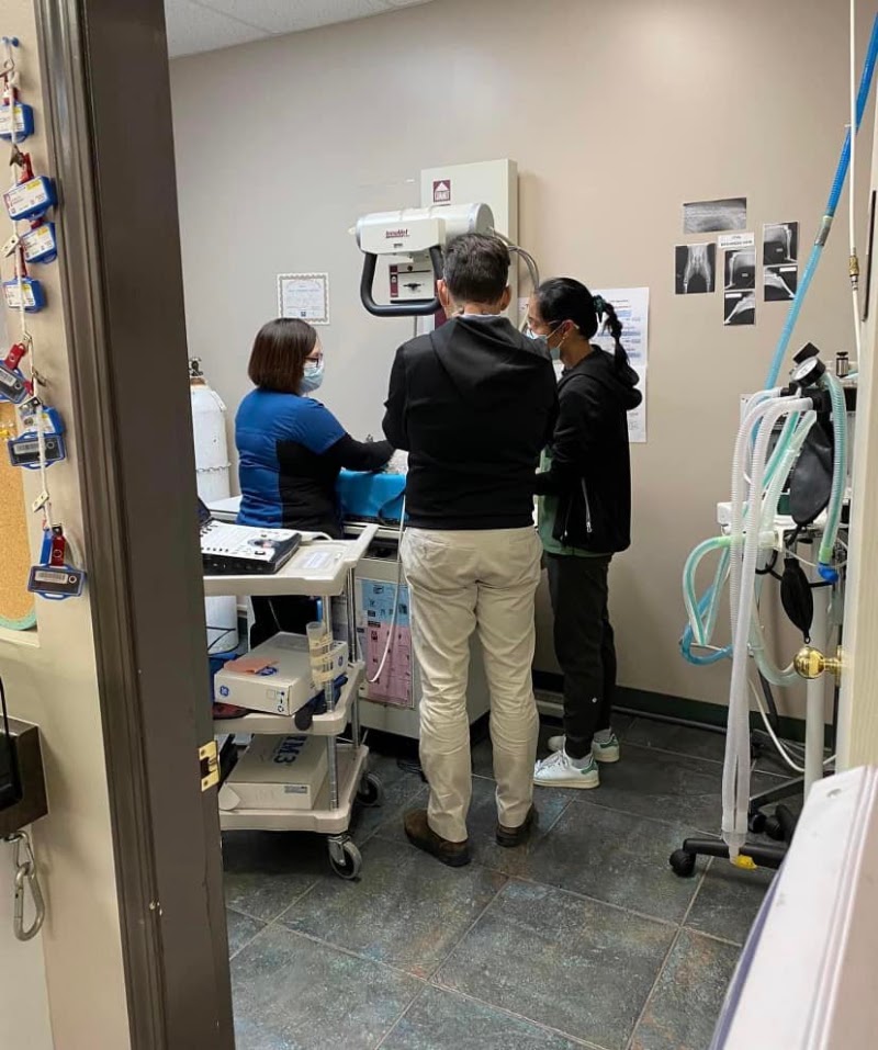 Valley Veterinary Services photo