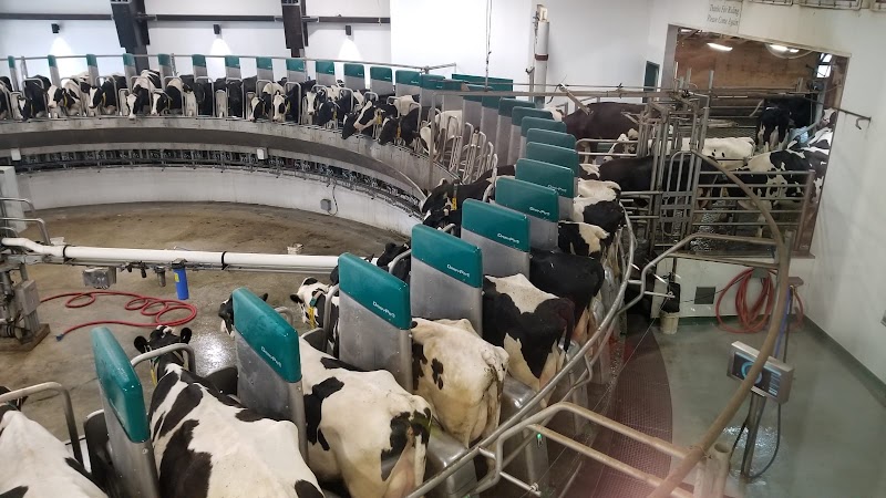 Pacific Dairy Centre Ltd