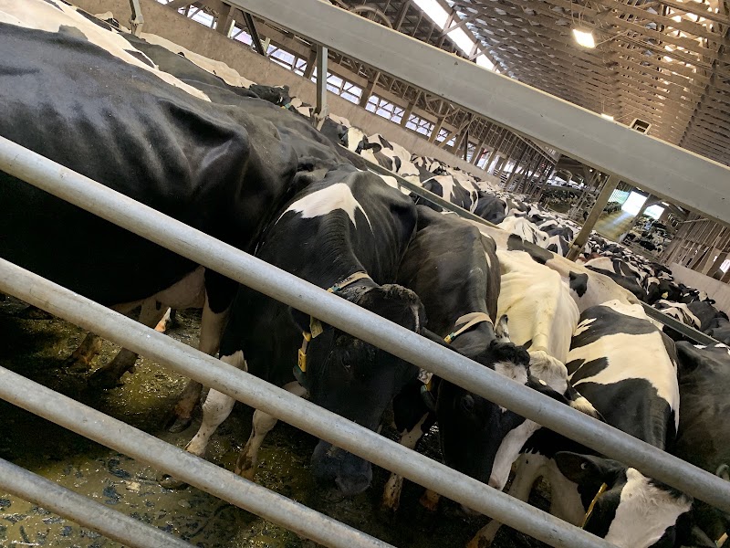 Pacific Dairy Centre Ltd photo