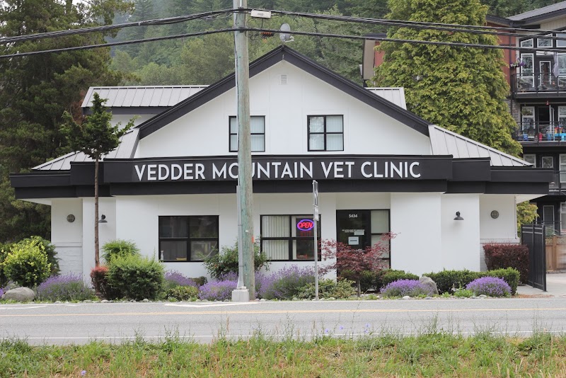 Vedder Mountain Veterinary Clinic photo