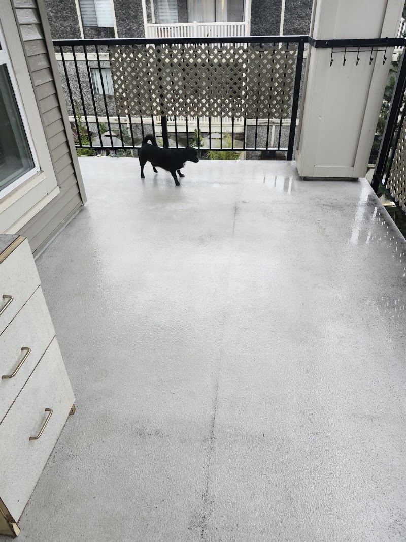Langley Pressure Washing (Powerhouse Pressure Washing) photo
