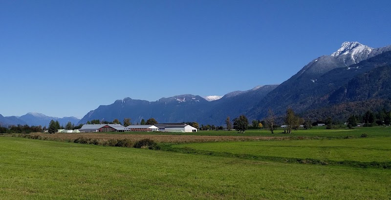 Leanne Robb - Chilliwack Real Estate Agent photo