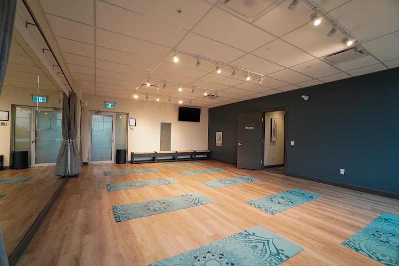 ThriveLife Counselling & Wellness photo