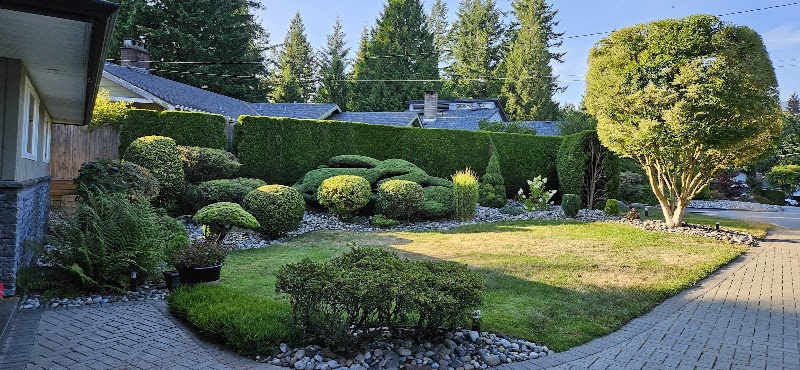 Greenscape Hedge and Tree Professional Care photo