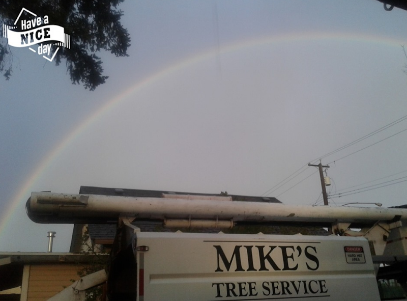 Mike's Tree Service