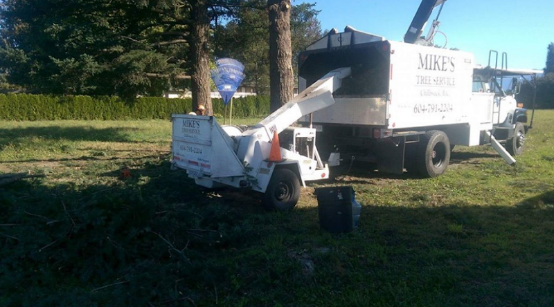 Mike's Tree Service photo