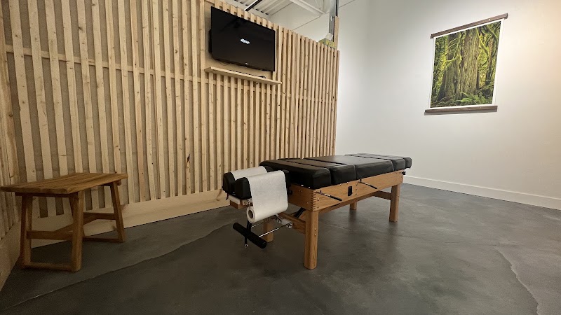 The Chiropractic Studio on Vedder photo