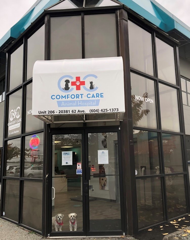 Comfort and Care Animal Hospital