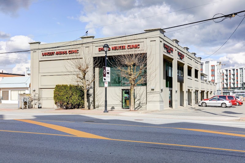 Langley Animal Clinic photo