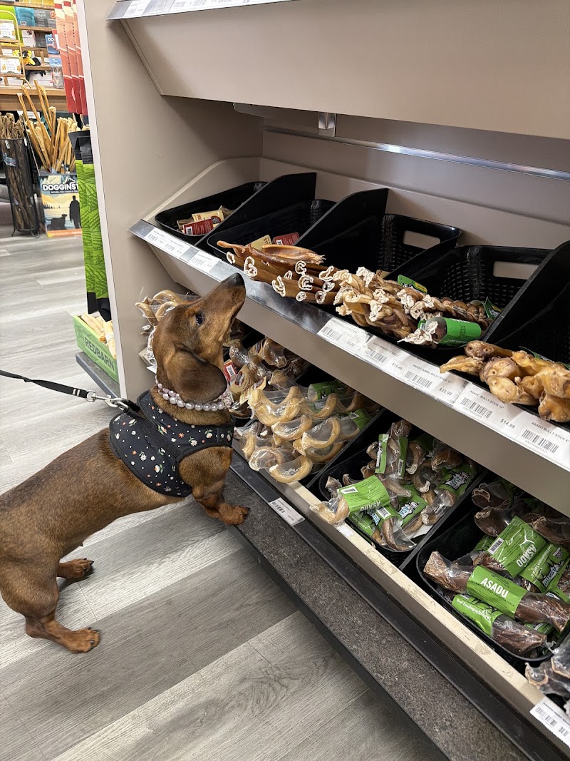 Global Pet Foods photo