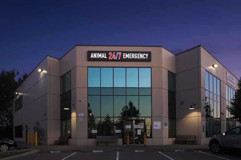 Animal Emergency Clinic of the Fraser Valley photo