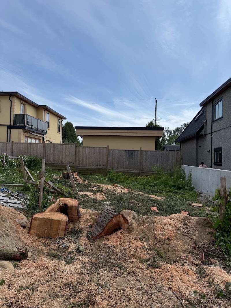 Limitless Tree Service