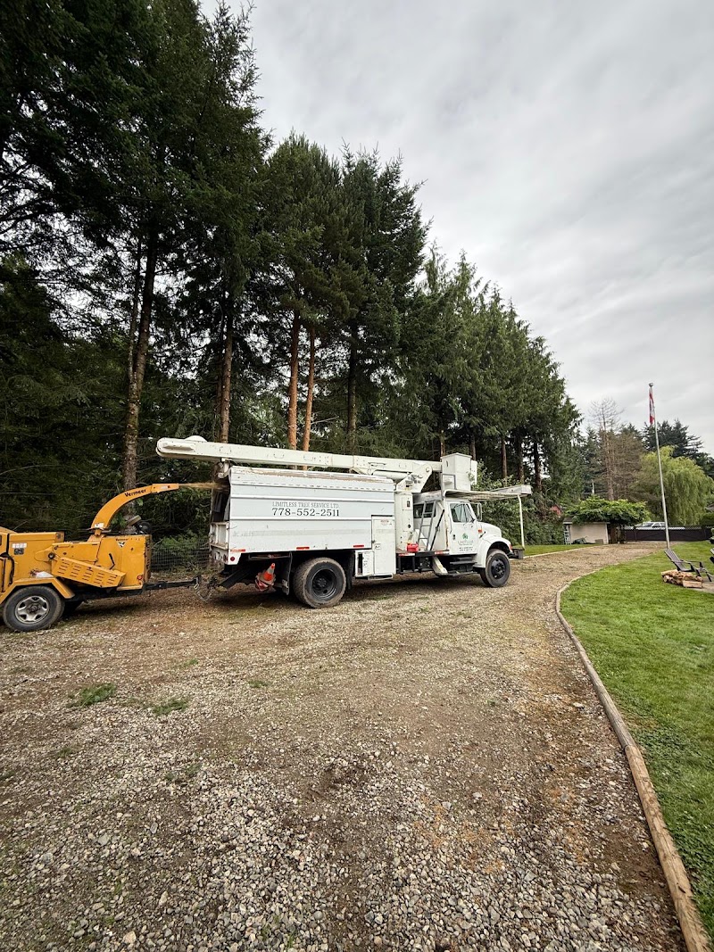 Limitless Tree Service photo