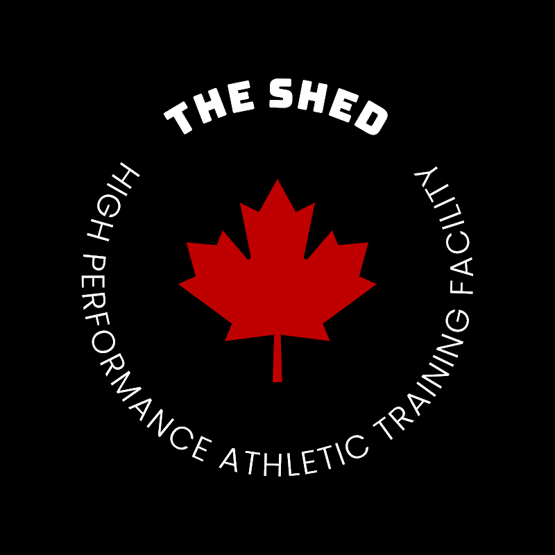 The Shed photo