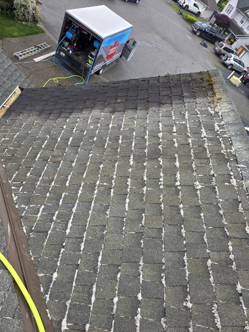 Callaghan's Roof & Exterior Clean photo