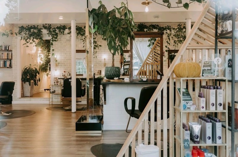 Twisted Roots Salon