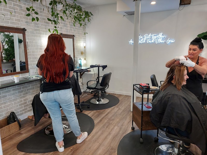 Twisted Roots Salon photo
