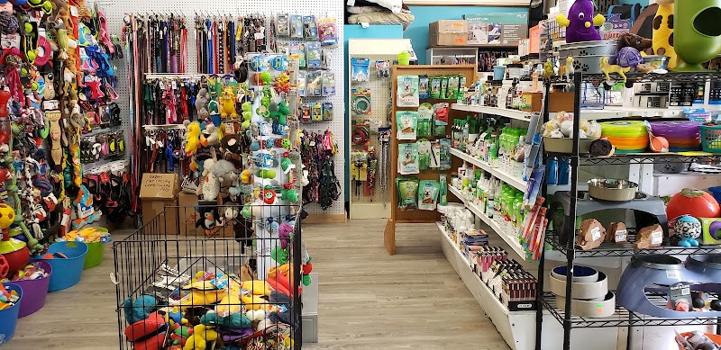 Pet Junction Grooming & Supplies photo