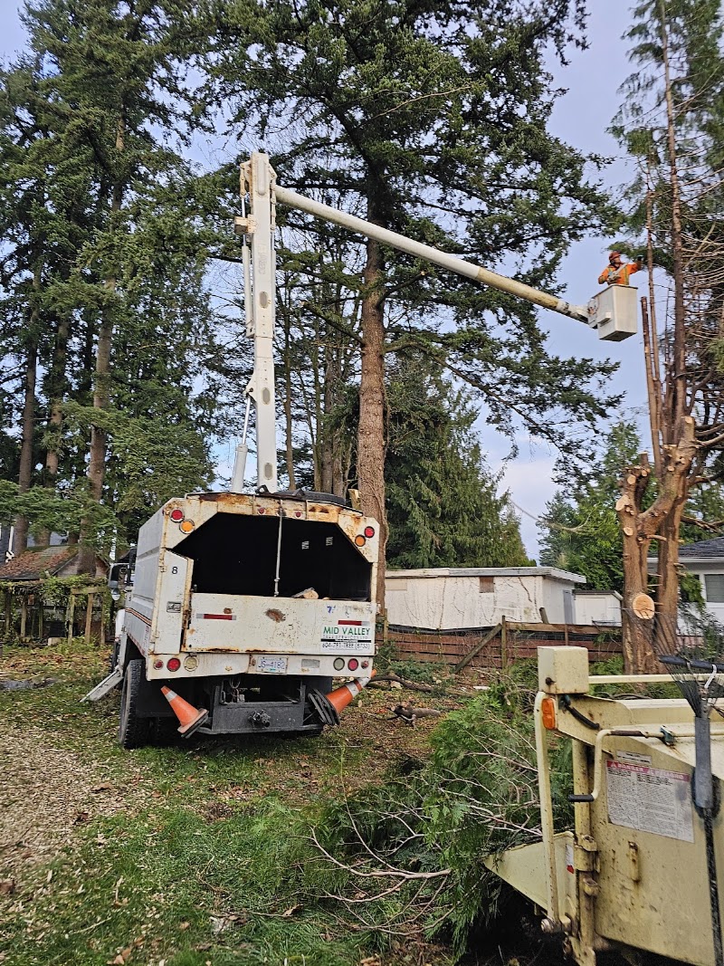 Mid Valley Tree Services