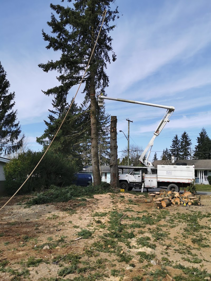 Mid Valley Tree Services photo