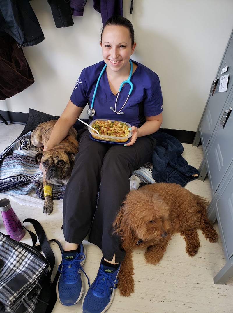 Sardis Animal Hospital photo