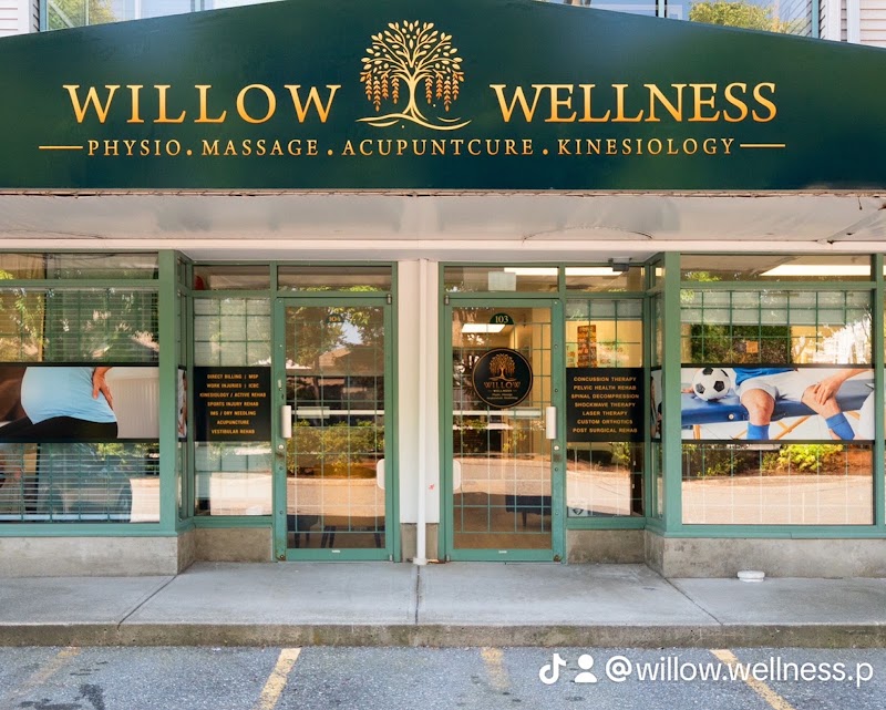 Willow Wellness Physio & Massage Clinic photo