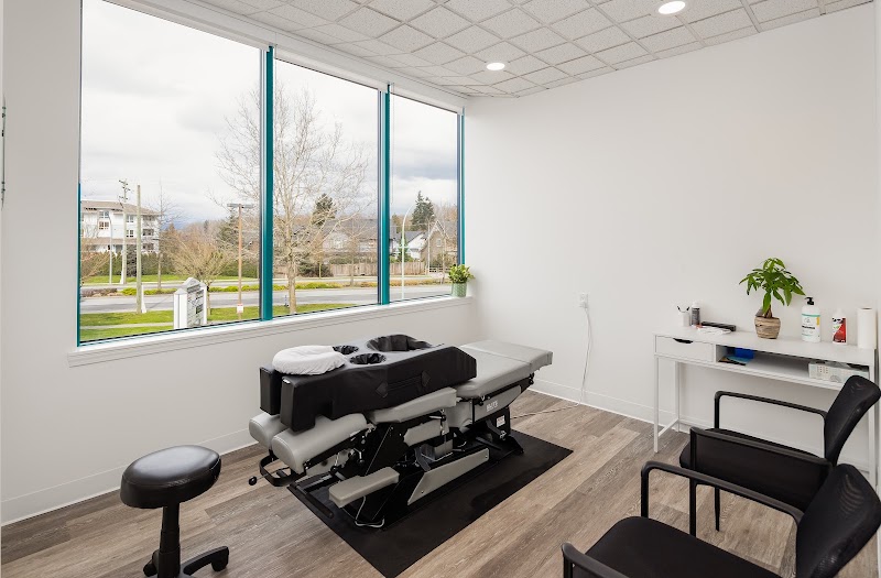 Fraser Valley Chiropractic & Wellness photo