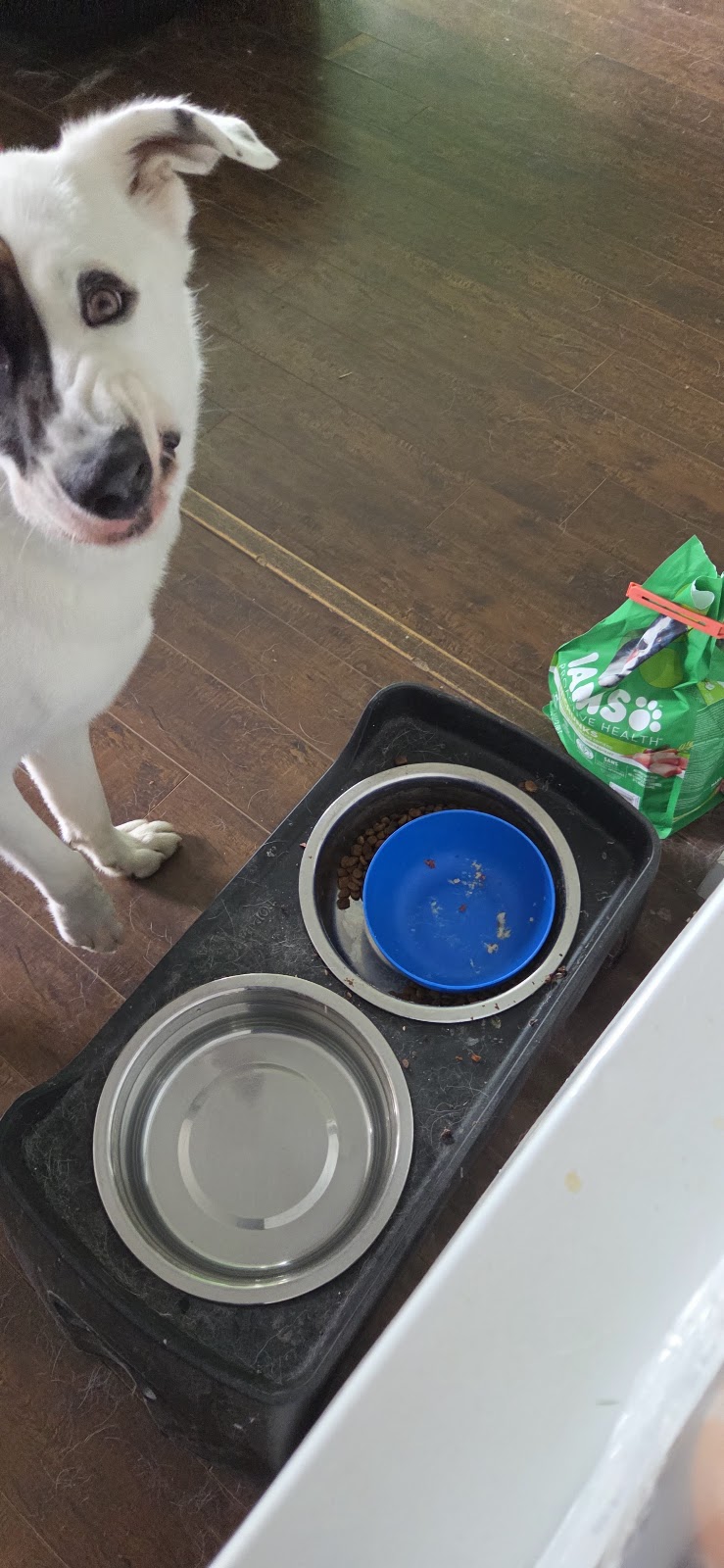 Tri-V Pet Foods Ltd photo