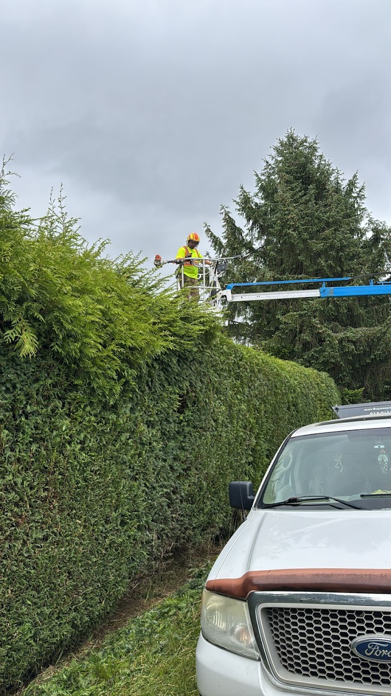 JF Hedge Trimming LTD.