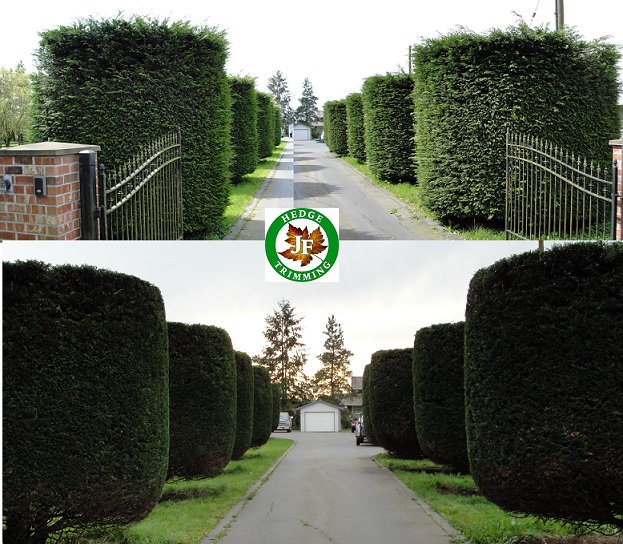 JF Hedge Trimming LTD. photo
