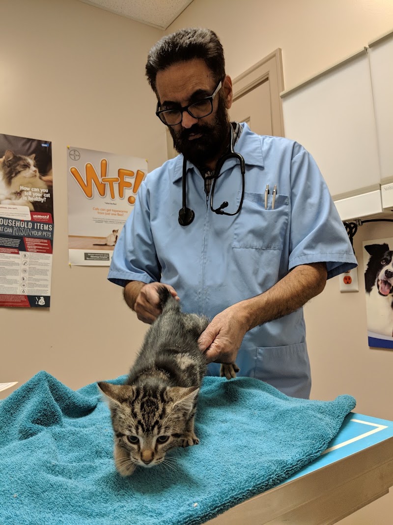 Family Pet Hospital photo