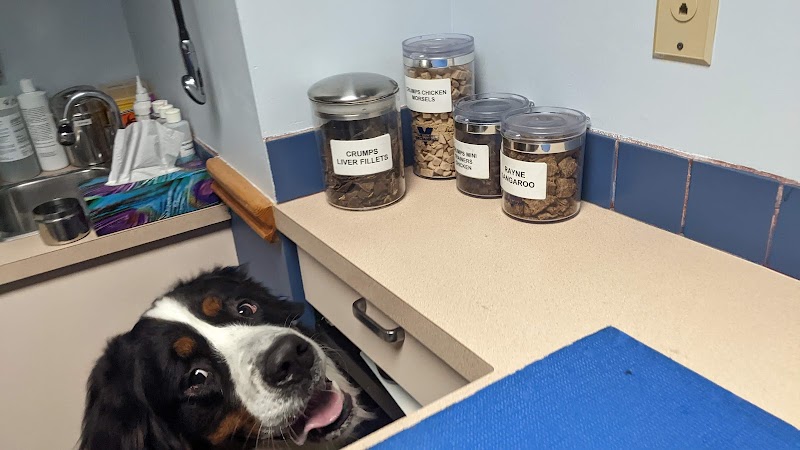Fort Langley Veterinary Clinic photo