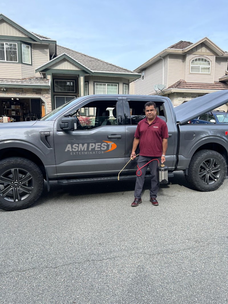 ASM Pest Exterminator | Best Pest Control Company in Langley
