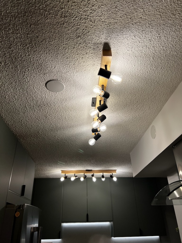 Vaulted Electric photo