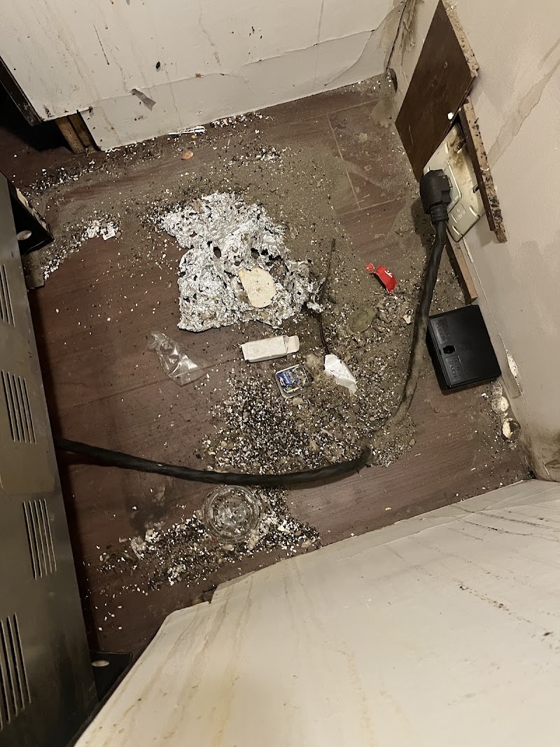 Top Line Pest Control photo