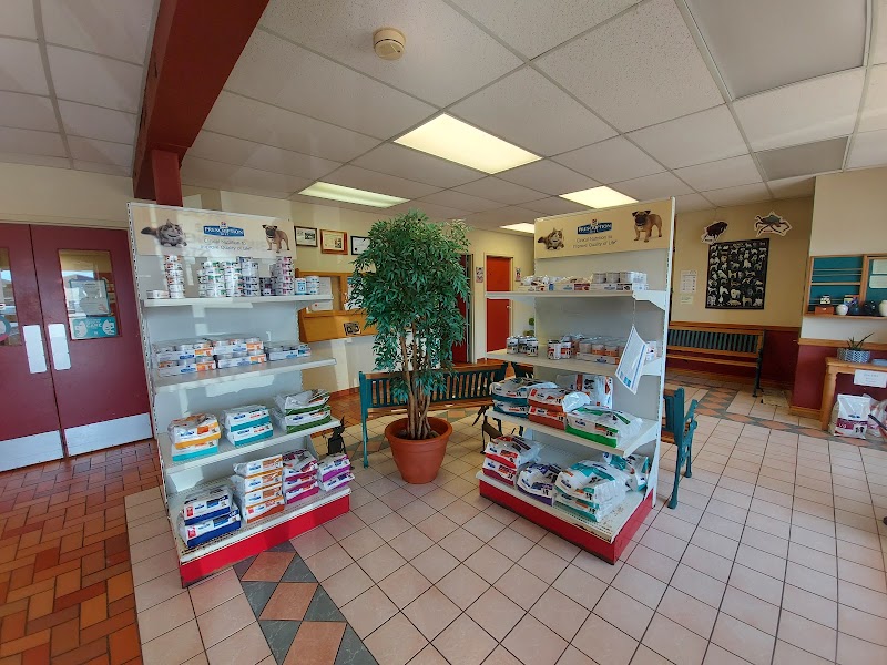 Cheam View Veterinary Hospital photo