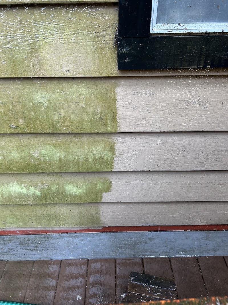 Mammoth Exterior Pressure washing