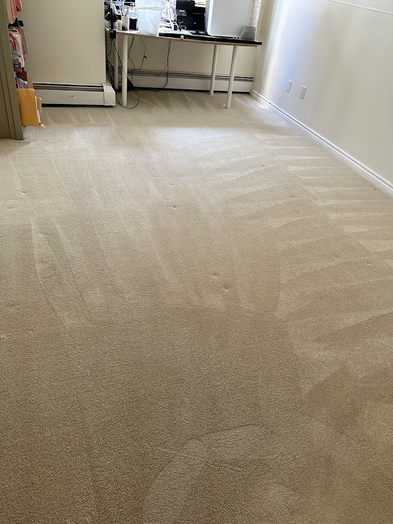EcoClean Carpet Care photo