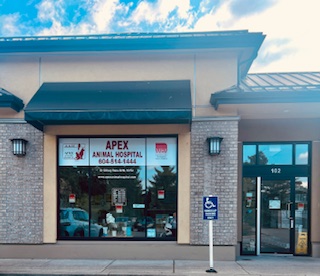 Apex Animal Hospital