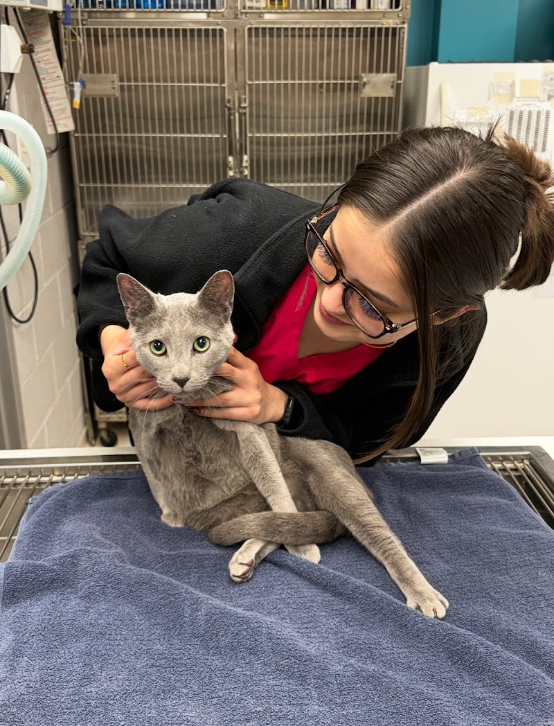 Walnut Grove Animal Hospital Langley photo