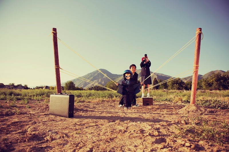 One Yellow Tree