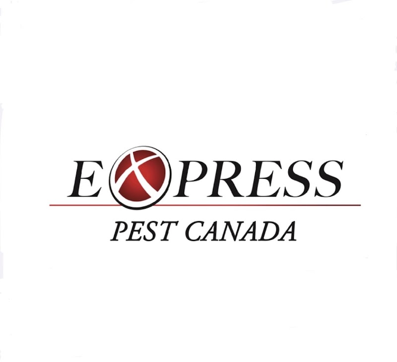 Express Pest Canada - Langley / Aldergrove photo