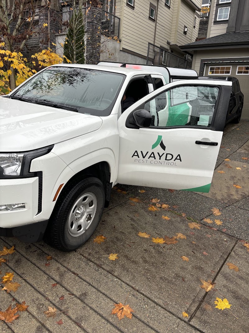 Avayda Pest Control Vancouver