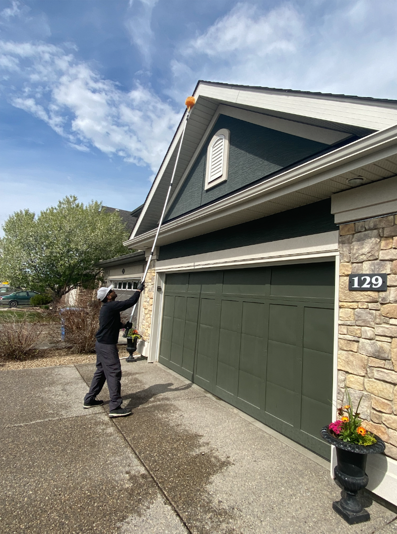 Avayda Pest Control Vancouver photo