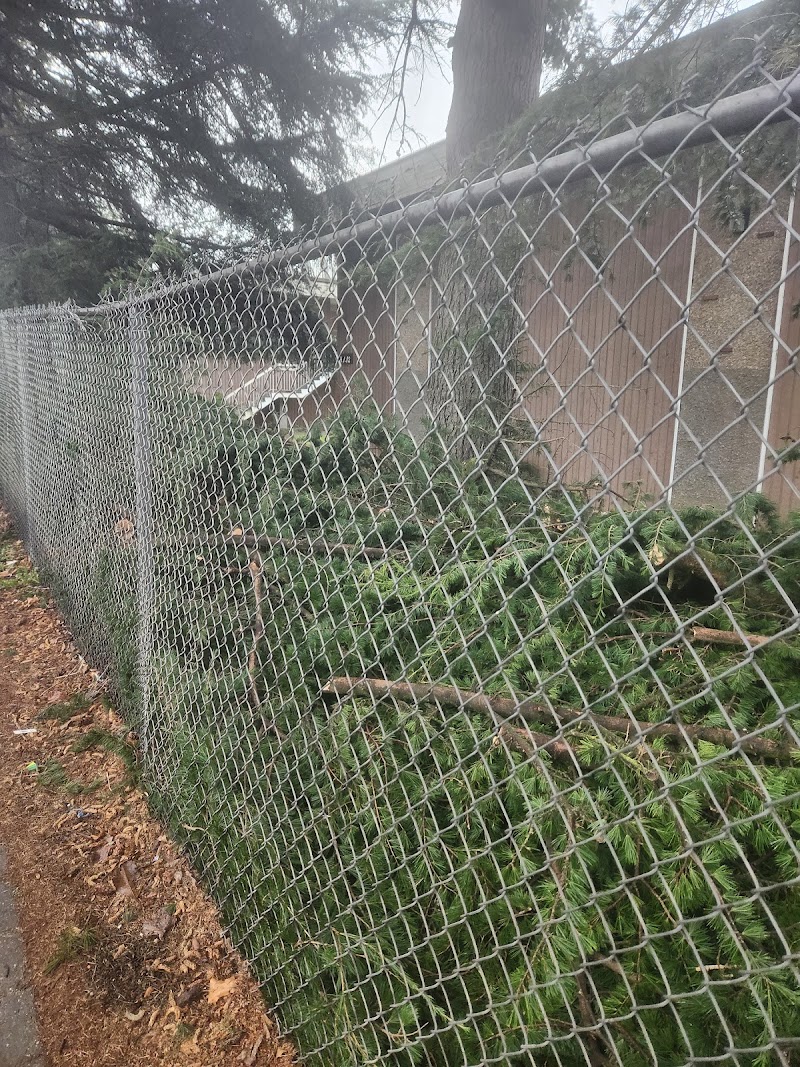 Horizon Tree Services